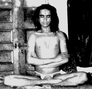 Shri Babaji medita