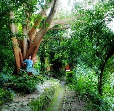 The gardens of Hairakhan