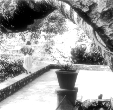 Babaji guarda la vallata dalla sua terrazza sotto il grande albero di banyan
