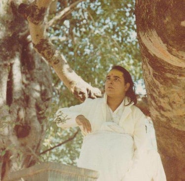 Shri Babaji