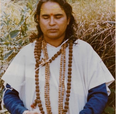 Shri Babaji medita