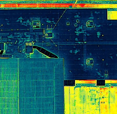 Signs of moisture intrusion on roof