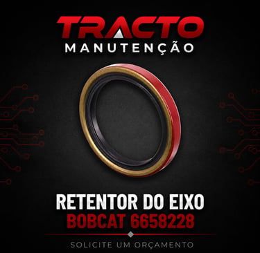 6658228 - Retentor do Eixo Bobcat