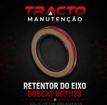 6671138 - Retentor do Eixo Bobcat
