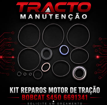6691341 - Kit Juntas Motor de Tração Bobcat S450