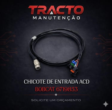 6719853 - Chicote de Entrada ACD