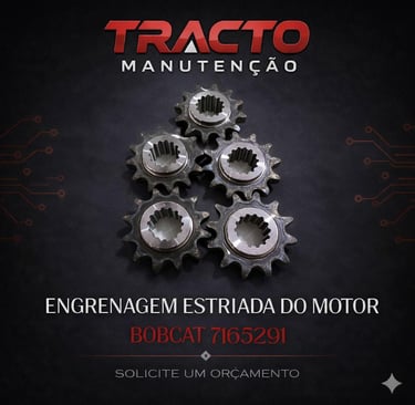 7165291 - Engrenagem Estriada do Motor da Vassoura
