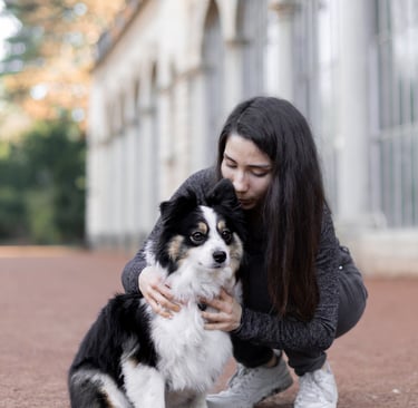 photographe animalier lyon chien photographie