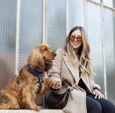 photographe animalier lyon chien photographie