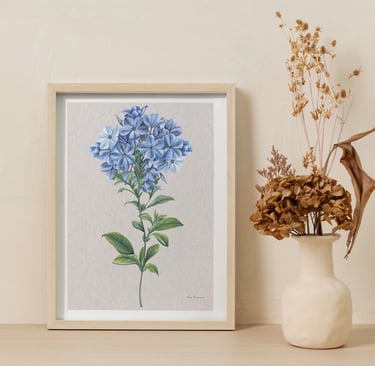 Gravura artística emoldurada de flor azul.