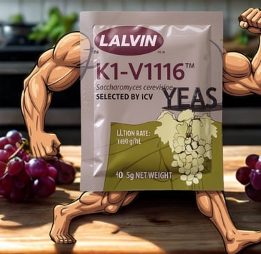 V1116 Yeast packet