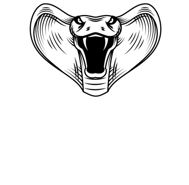 Investigadores Detectives Privados