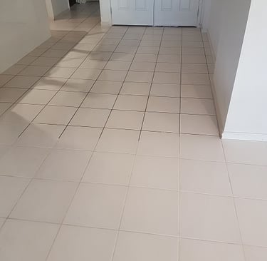 Tile cleaning Singleton