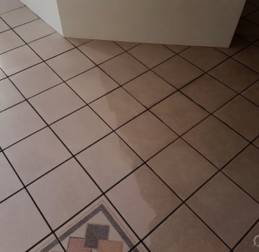 Before and after professional tile cleaning Maitland