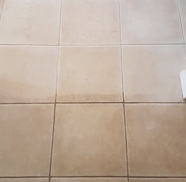 Before and after tile cleaning in the Hunter