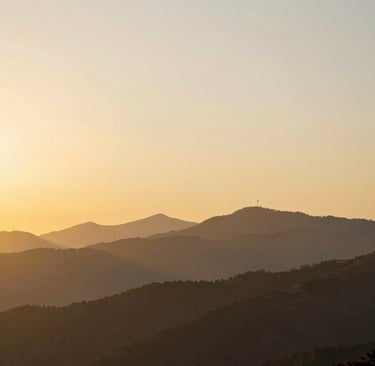 black blue and yellow textile