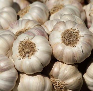 indonesian garlic