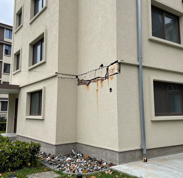 woman in gray top beside building