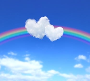 Die Regenbogenbrücke soll in Erinnerung an alle Welpen die es nicht geschafft haben sein.