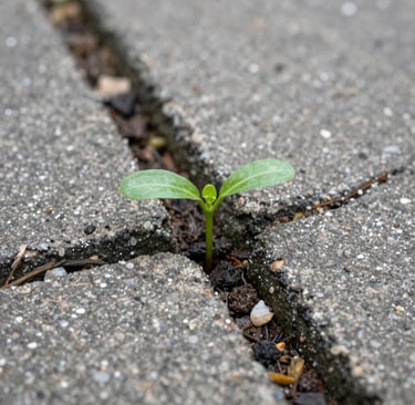 Bright living room with modern inventory