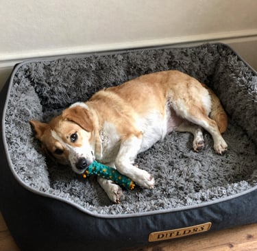 Bright living room with modern inventory
