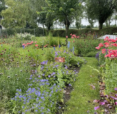 regenerative landscape architect design