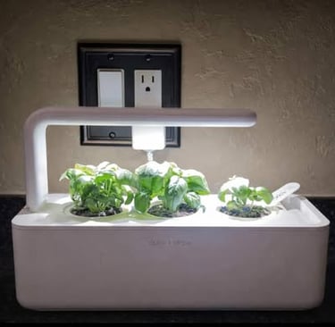 Indoor countertop plant grower with LED light and three growing plants