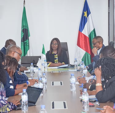 African diplomats and officials holding a business meeting at a conference table with national flags.