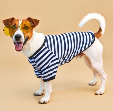 Jack Russell Terrier con gafas de sol amarillas y camiseta a rayas sobre fondo beige.