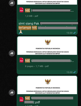 Testimoni Chat WhatsApp Keberhasilan Penerbitan NIE Alkes Kemenkes RI