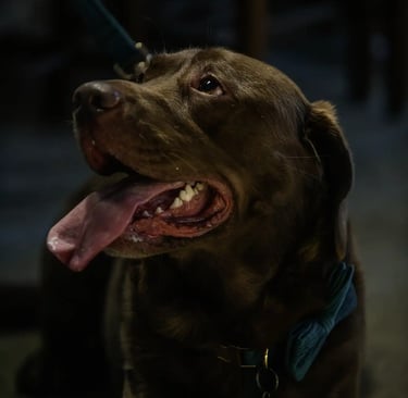 London wedding photographer