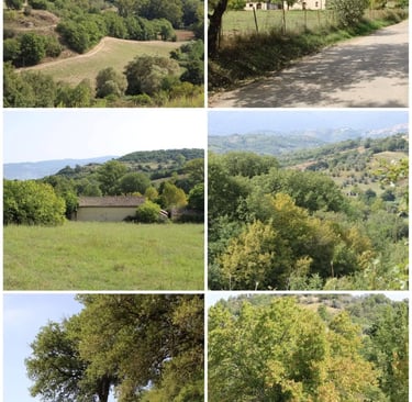 CALABRIA – COSENZA | MONTALTO UFFUGO SCALO - TERRENO IN VENDITA