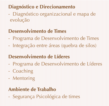 Soluções práticas em Alta Performance Áureas Consulting