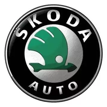 Kits de Calado Skoda Herramienta Distribución Motor Skoda y Timing Tools