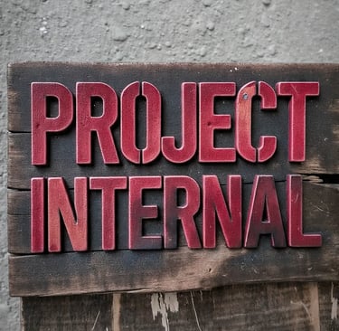 Project Internal title image