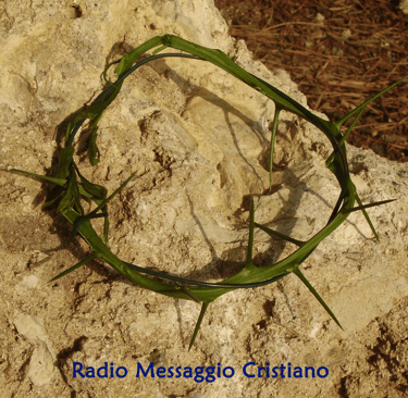 La corona di spine che Gesù portò. Nessuno ha amore più grande di questo: dare la propria vita