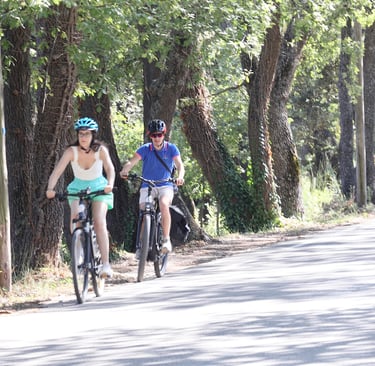 location vélo Aix en Provence itinéraire Sainte Victoire