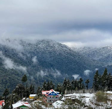 Okhrey Homestay
