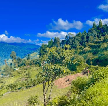 Okhrey Homestay