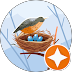 Stihl-974 avis Google