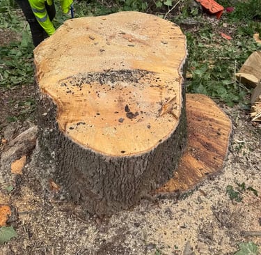 stump grinding