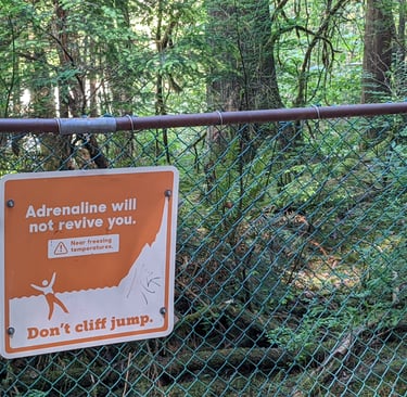 Warning about the dangers of cliff jumping at Lynn Canyon