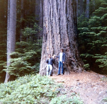 Two teens explore Mt. Rainer