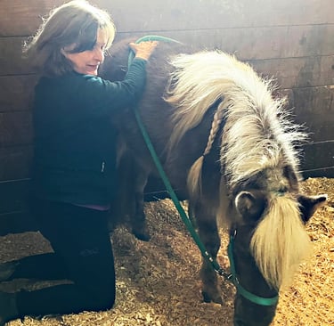 Danna Antoine, kneeling doing bodywork with a miniature horse that is relaxed with her head lowered.