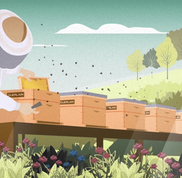 Motion Design Luxe Guerlain 2Factory FEVR Paris agence motion design