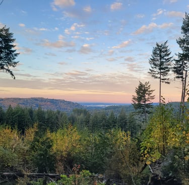view of mountains and water in the distance in fall