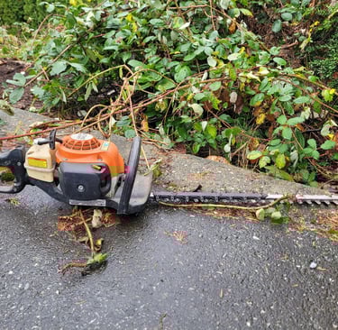 a picture of a hand held gas power hedge trimmer sitting on the ground