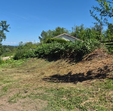 a grass feild leading to a fence with bushes growing beside it with a tree in the foreground