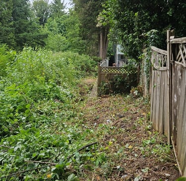 a wooden fence with blackberries having been removed from it