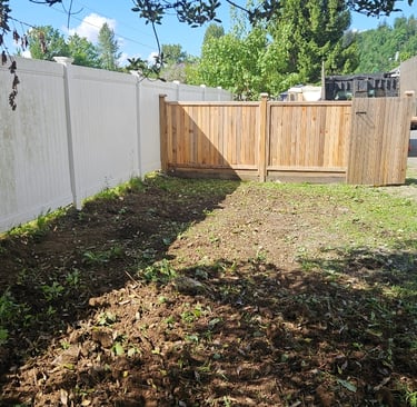 a back yard with fences and a gate where blackberries have been removed